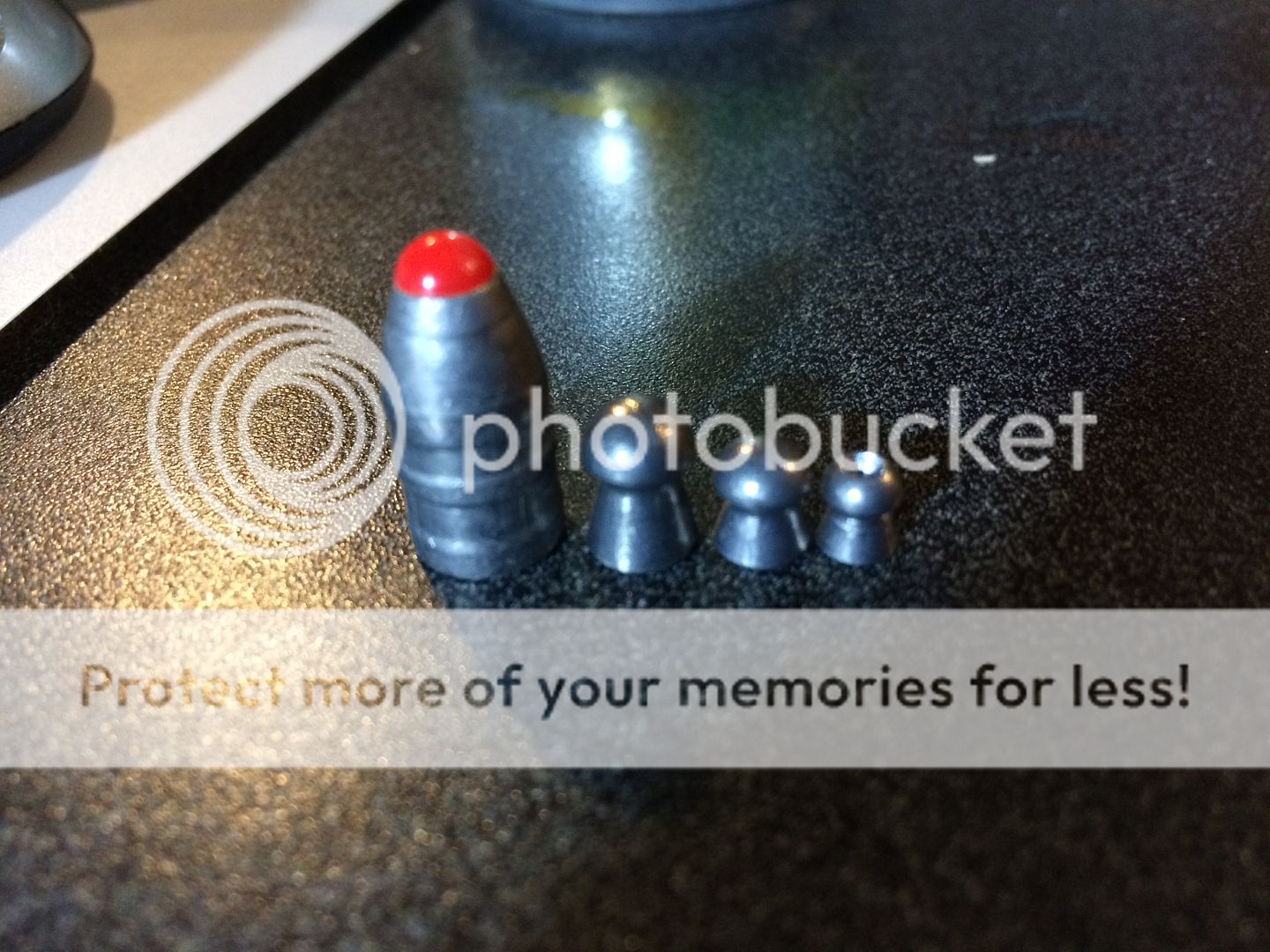 Air gun hunting in Washington Airgun Nation